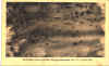 Beschie�ung eines englischen Fliegergeschwaders am 02.12.1915 �ber Don