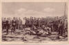 Immelmann�s Todessturz Postkarte